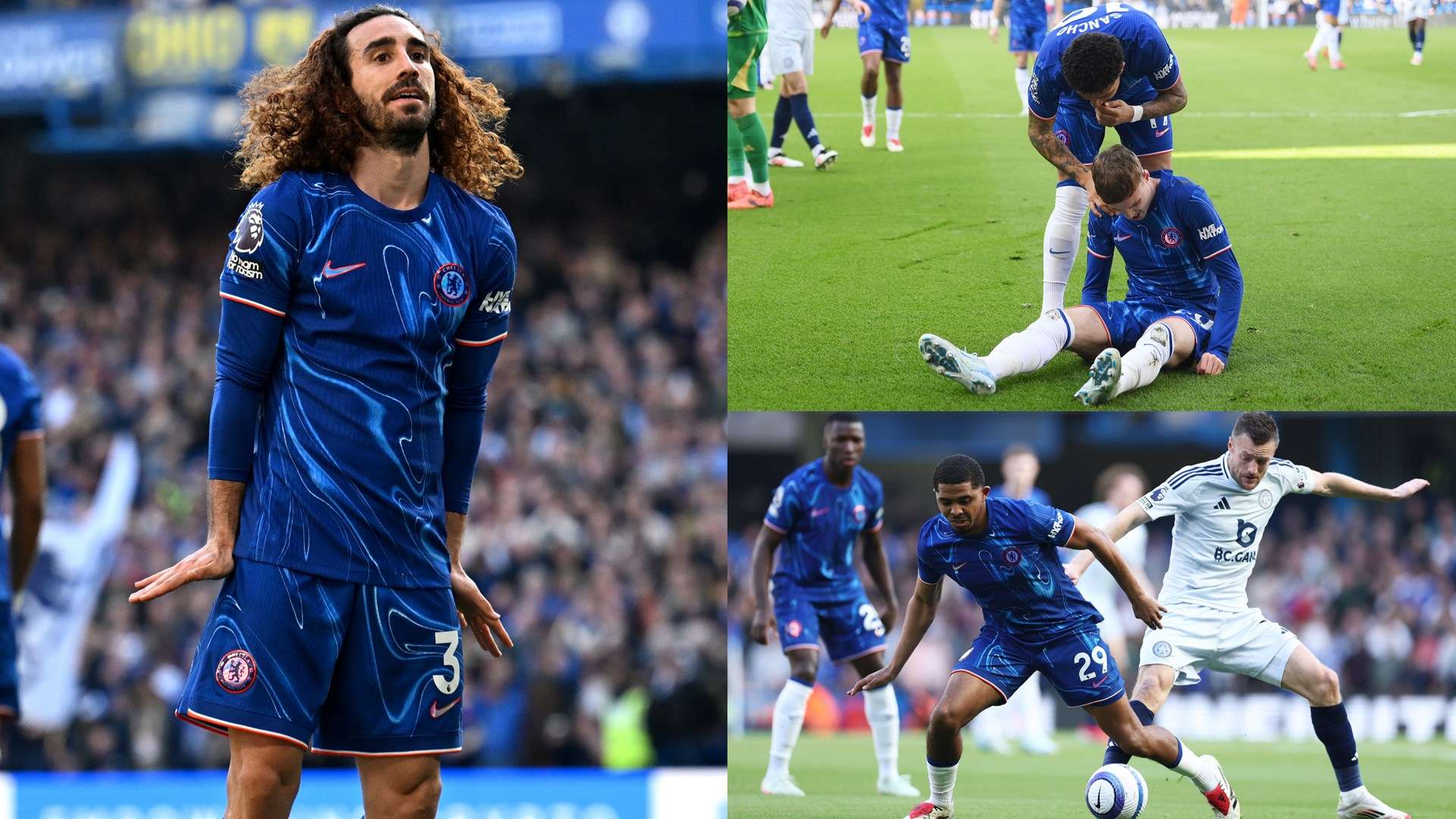 進和多樣性 進和多樣性