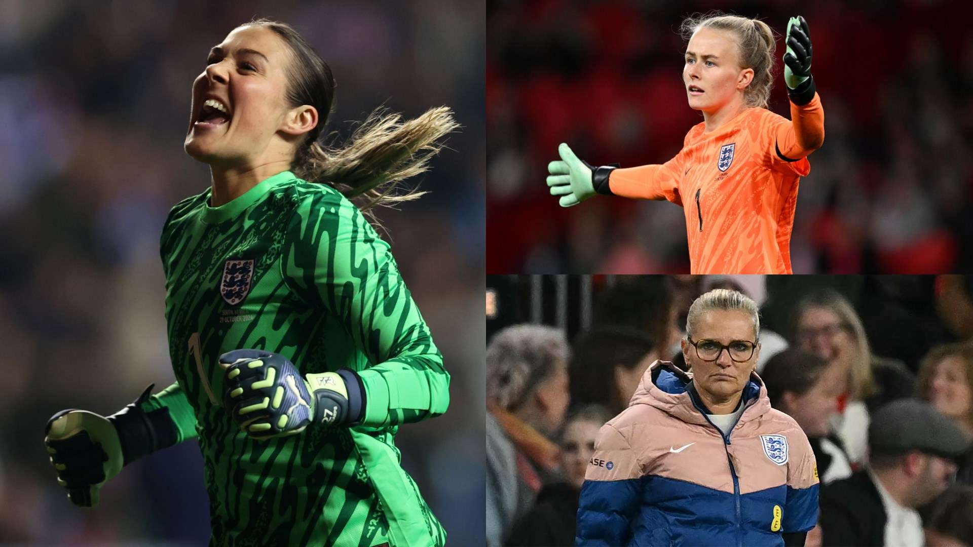 体系发展的 体系发展的