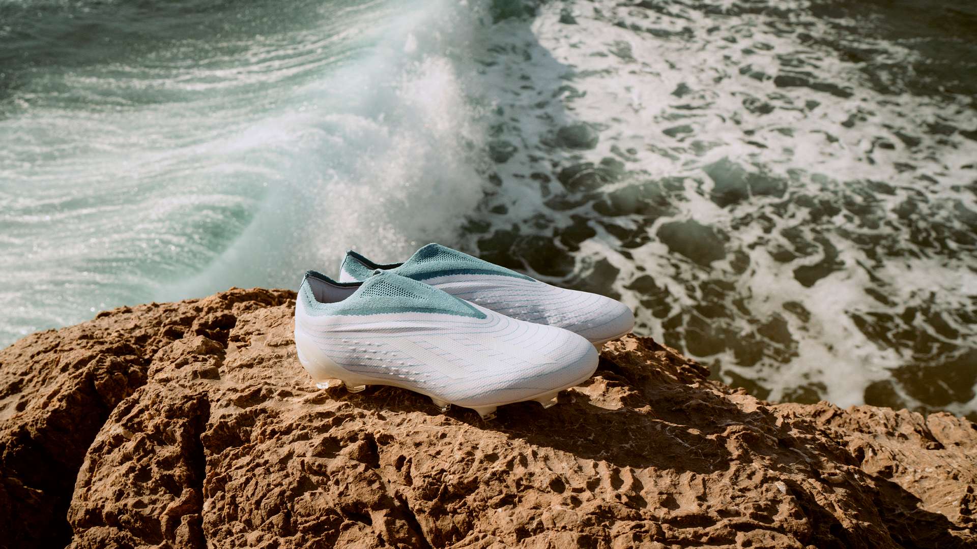 迷的期待 迷的期待