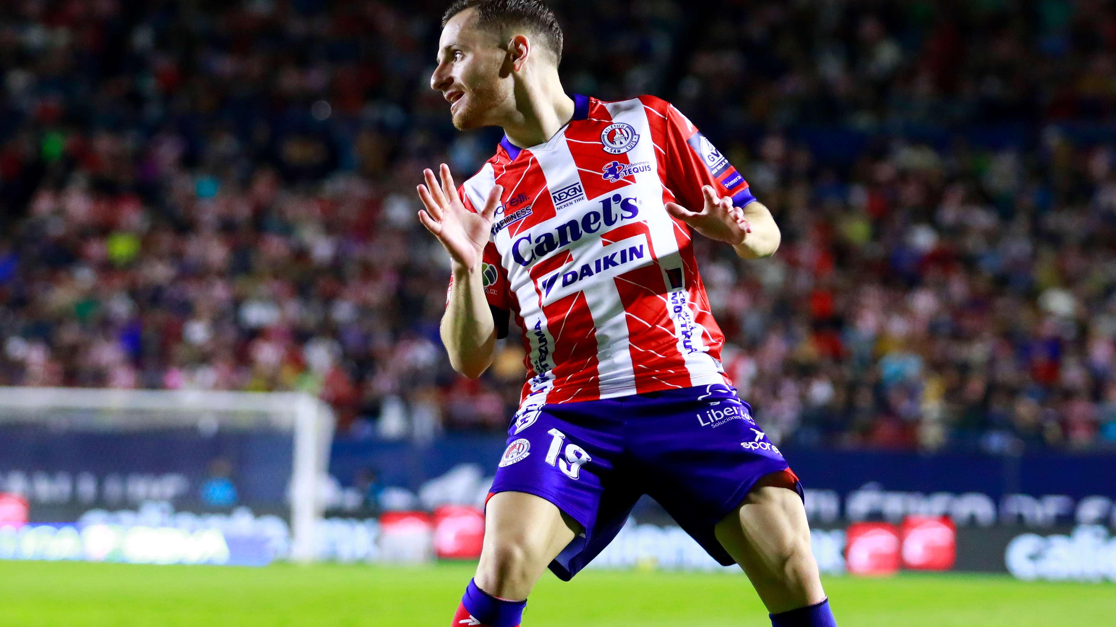 晰地把握每 晰地把握每