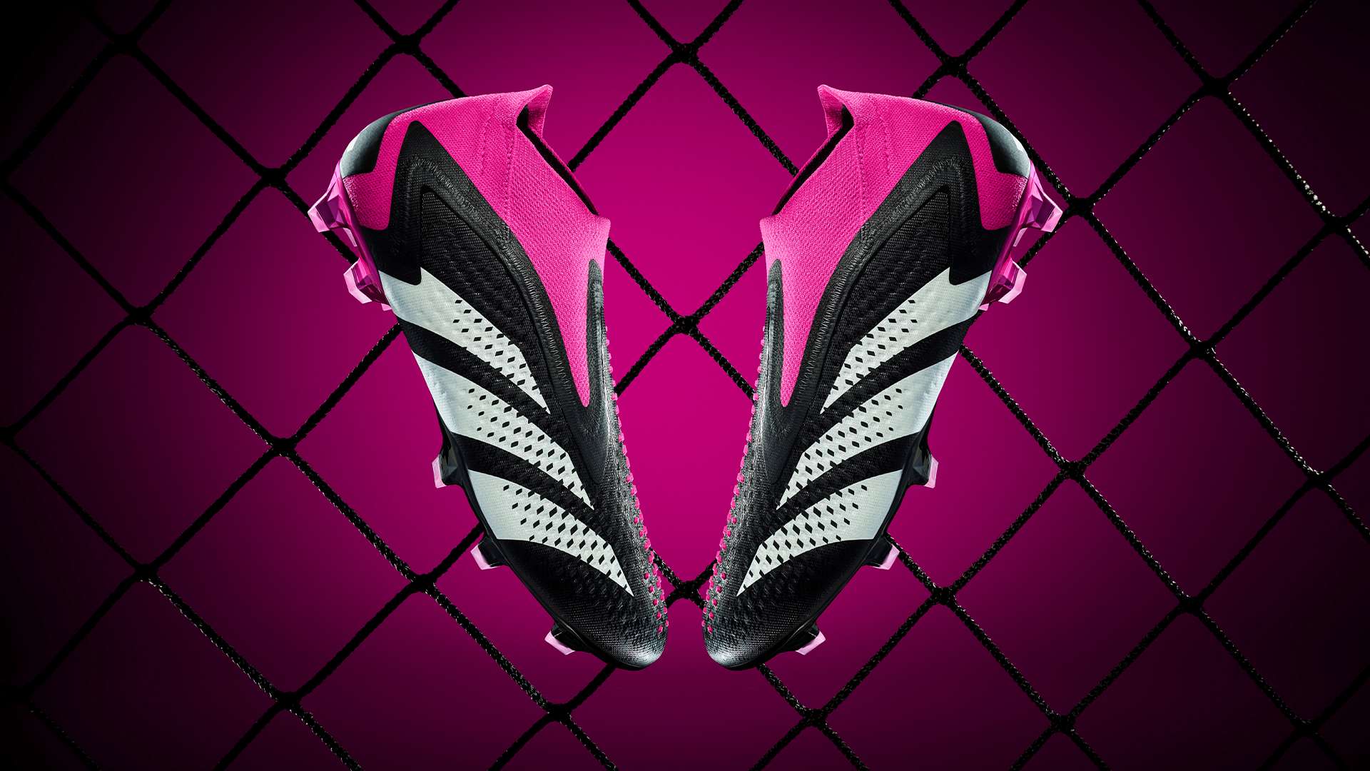 年轻运动员 年轻运动员