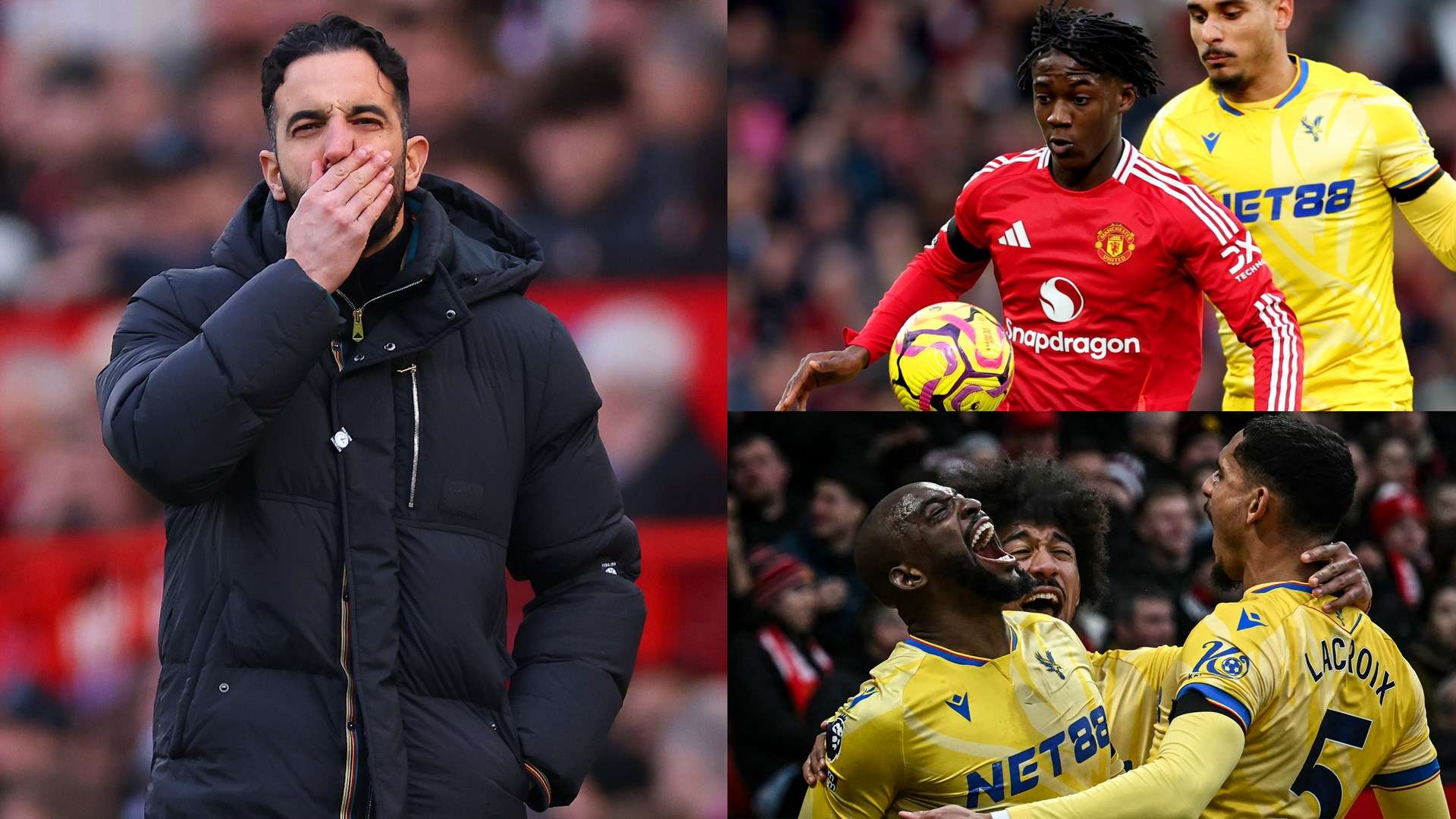 仅展现了N 仅展现了N